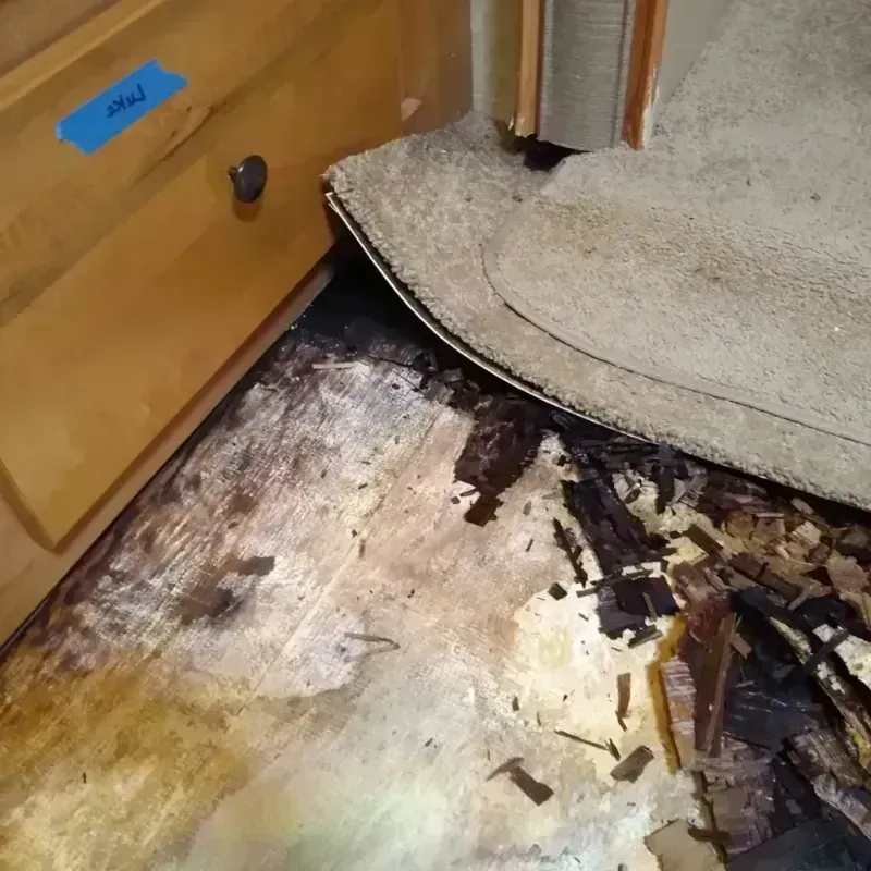 Wood Floor Water Damage in Winfield, AL